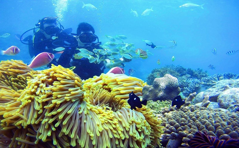 La obra “Sumérjase en la naturaleza” del autor Nguyen Tien Dung gana el premio de consolación.