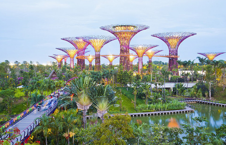 Inaugurados en 2012, los jardines de Bahía en Singapur son un parque famoso con superárboles de 50 metros de altura. En este sitio, los visitantes pueden disfrutar de espectáculos de luces y música cada noche (Fuente: Getty Images)