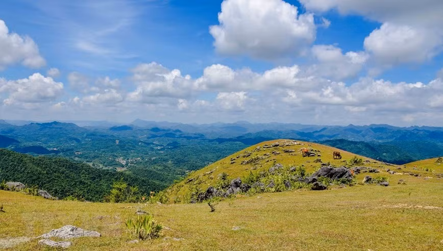 La montaña de Nang Tien se sitúa en 240 hectáreas en el pueblo de Na Tan, en la comuna de Thien Hoa, en el distrito de Binh Gia. (Fuente: VNA)