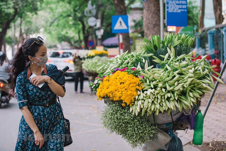 Los amantes de las flores no pueden perder la oportunidad de captar los momentos poéticos de la capital durante la temporada de las azucenas. Al viajar a Hanoi en abril, los visitantes podrán ver a los vendedores ambulantes transportando las flores por las calles. Las azucenas también se venden con abundancia en las tiendas y mercados. Durante esta temporada los residentes locales a menudo se se paran al borde de la calle para comprar las azucenas y luego decorar sus hogares y los altares de sus antepasados con las flores. Las azucenas contribuyen a alegrar el espacio con su pureza y serenidad. (Foto: Vietnam+)