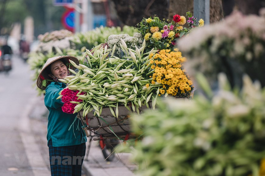 Para los habitantes de Hanoi, las azucenas se consideran como un signo de la llegada del verano. Abril es el mes del sol radiante, pero también el mes del viento acariciador, que lleva la fragancia sútil de las flores a todos los hogares. En esta temporada, se puede ver las azucenas en las bicicletas de los vendedores ambulantes en calles de Hanoi como Yen Phu, Thuy Khue y Phan Dinh Phung. El ajetreo y el bullicio de la vida cotidiana de repente se vuelven poéticos y románticos. Para los lugareños, la azucena es una flor delicada y pura como una mujer de Hanoi, sencilla y elegante. (Foto: Vietnam+)