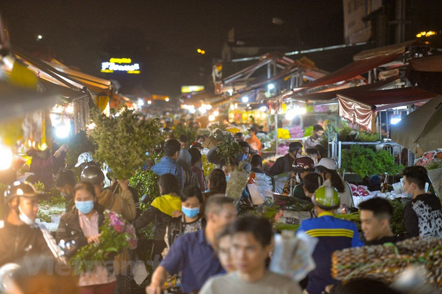 Tras un largo período de estancamiento debido a la pandemia del COVID-19, el mayor mercado de flores en Hanoi se ha vuelto bullicioso gracias a la demanda por el Día Internacional de la Mujer (8 de marzo). De aquellos que aman las flores o tienen trabajos relacionados con las flores en Hanoi y áreas circundantes tal vez nadie no conoce este lugar: el mercado Quang An. Pocas recuerdan cuándo y cómo apareció el mercado de flores de Quang An - Quang Ba. La gente solo sabe que al principio, era simplemente un pequeño mercado ubicado en el lado del dique Nghi Tam, en el barrio de Quang An, distrito de Tay Ho, en Hanoi. (Foto: Vietnam+)