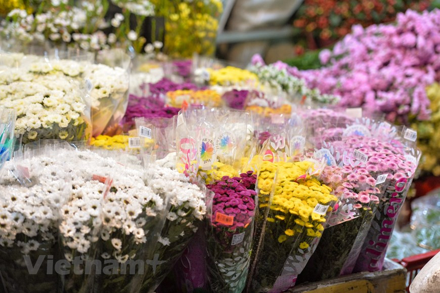 Aquí están disponibles todas las flores de Vietnam, especialmente las cultivadas en Da Lat, que son muy preferidas por los compradores. Muchos pequeños comerciantes acuden al mercado de flores más grande de Hanoi para comprar diferentes especies de flores y luego venderlas en ocasión del Día Internacional de la Mujer. Mientras, otras personas visitan el mercado de Quang An para seleccionar y comprar un regalo especial a sus mujeres en la festividad dedicada a las féminas. En este mercado de flores, hay abundantes variedades que la gente puede elegir para regalar a las mujeres. Las rosas son una opción favorita de muchos clientes. (Foto: Vietnam+)