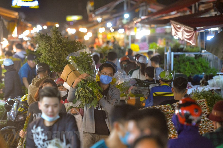El mercado fue creado para que los floricultores de las áreas alrededores comercializaran flores y plantas ornamentales que cultivaban, porque Nhat Tan, Quang An y Quang Ba son lugares afamados por la producción tradicional de flores, melocotón o kumquat en Hanoi. Más tarde, para satisfacer la creciente demanda de flores frescas de los capitalinos, el mercado de flores de Quang An se expandió y comenzó a ofrecer cada vez más nuevas especies procedentes las áreas circundantes como Soc Son, Me Linh y Vinh Phuc; o Da Lat, la “capital de las flores de Vietnam”; y otros países como China, Tailandia, los Países Bajos y Sudáfrica. Este lugar se ha convertido en el mayor mercado mayorista de flores frescas del norte de Vietnam. Cada temporada surgen diferentes flores, por eso el mercado se encuentra ocupado durante todo el año. (Foto: Vietnam+)