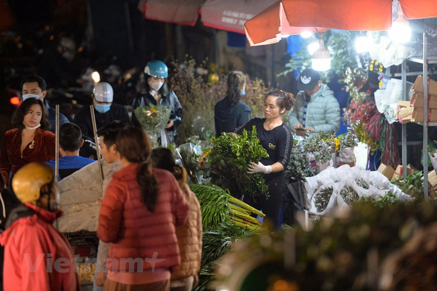 Este mercado especial atrae una amplia gama de visitantes, desde los vendedores mayoristas y minoristas, los clientes hasta los turistas, quienes vienen no para comprar las flores, sino para contemplar la belleza peculiar del lugar y experimentar una costumbre tradicional singular de los hanoienses. El mercado se celebra en un momento igualmente especial. Cuando la mayoría de los capitalinos todavía se quedan dormidos, el mercado de flores de Quang An comenzó a "despertar". Normalmente, el mercado está abierto desde las 11 de la noche hasta las 6 del día siguiente. Los ramos de flores, aún mojados por el rocío de la noche, se empaquetan y venden en kioscos tras kioscos, o se exponen en las portabicicletas, motocicletas e incluso en el suelo. Además de las flores, hojas y complementos también son abundantes. Si las flores son las beldades, los complementos para arreglos florales son las joyas que conforman un estilo de moda único para cada belleza. (Foto: Vietnam+)