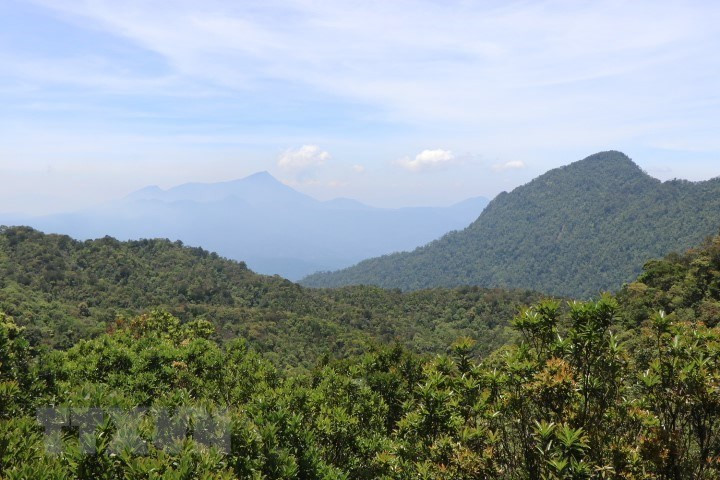 El paisaje majestuoso y prístino del parque nacional de Bach Ma. (Foto: VNA)
