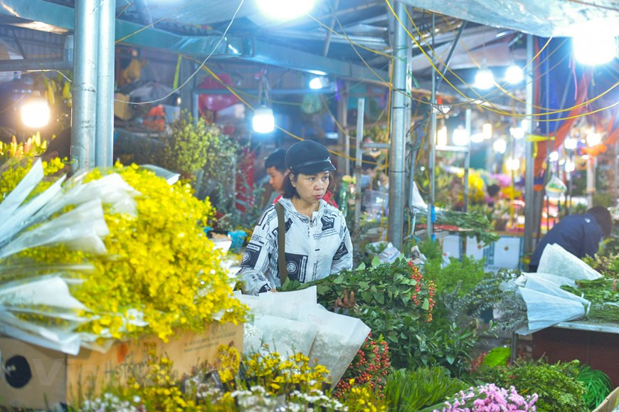 Sin embargo, durante los últimos días, a diferencia de la escena lúgubre de antes, el mercado de flores de Quang An está abarrotado de compradores y vendedores a medida que se acerca el Día Internacional de la Mujer (8 de marzo). Los autos entran y salen, mientras que los comerciantes trabajan toda la noche y todo el día para importar las flores y clasificarlas después de un período de estancamiento debido a la pandemia del COVID-19. En los últimos días, los precios de las flores han subido súbitamente, gracias a la creciente demanda y la importación de raras variedades desde el extranjero. (Foto: Vietnam+)