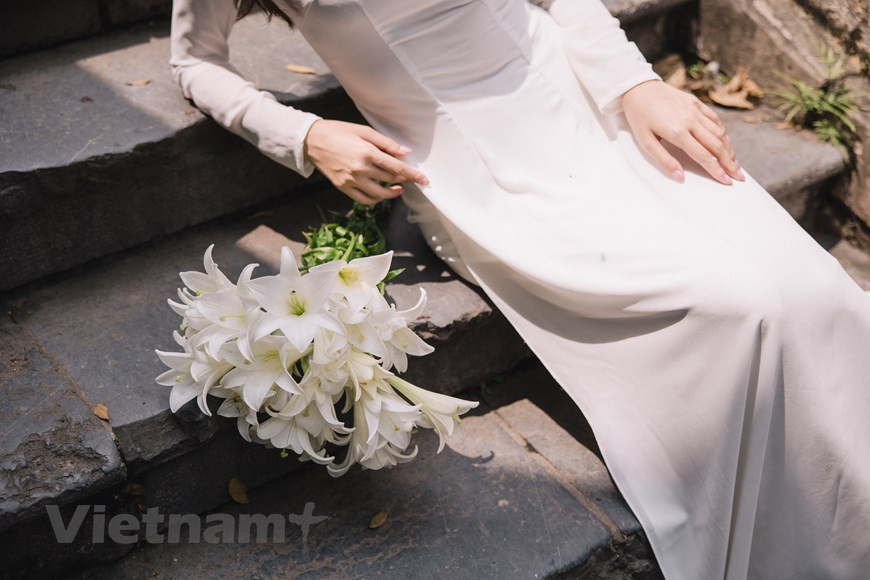 Las azucenas son la “flor de abril” de Hanoi. Tras los vaivenes de la historia, en cualquier rincón de la capital las temporadas de diferentes flores siempre han mantenido el alma rústica, poética, romántica y dulce de los hanoienses. Como una promesa cumplida, la floreción de las azucenas brinda a los visitantes nuevas sensaciones sobre la apacibilidad y la elegancia de Hanoi. Las flores de color blanco puro siempre nos recuerdan de una vida delicada y profunda que no se encuentra en cualquier otro lugar. Si viajas a Hanoi en la temporada de las azucenas, ¡no pierdes la oportunidad de sumergirse en el mundo puro de esta flor! (Foto: Vietnam+)