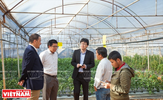 Experto japonés inspecciona aplicación piloto de nueva tecnología 