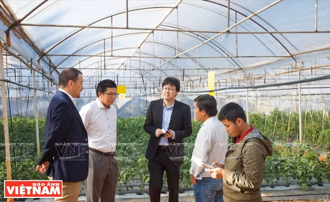 Experto japonés inspecciona aplicación piloto de nueva tecnología 