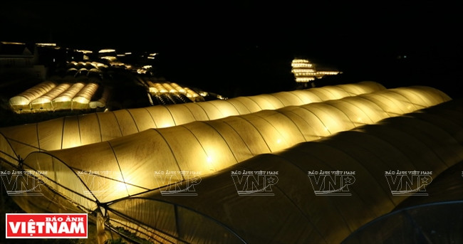 Aplican la iluminación nocturna para impulsar el crecimiento 