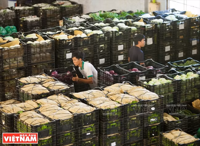 El área de conservación 