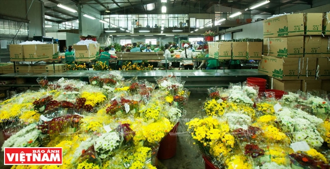 La sección de empaquetamiento 