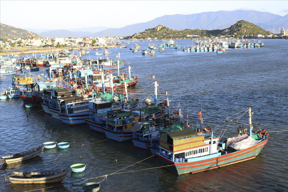 Barcos operados por pescadores de Ninh Thuan explotan productos acuáticos. (Fuente:VNA)