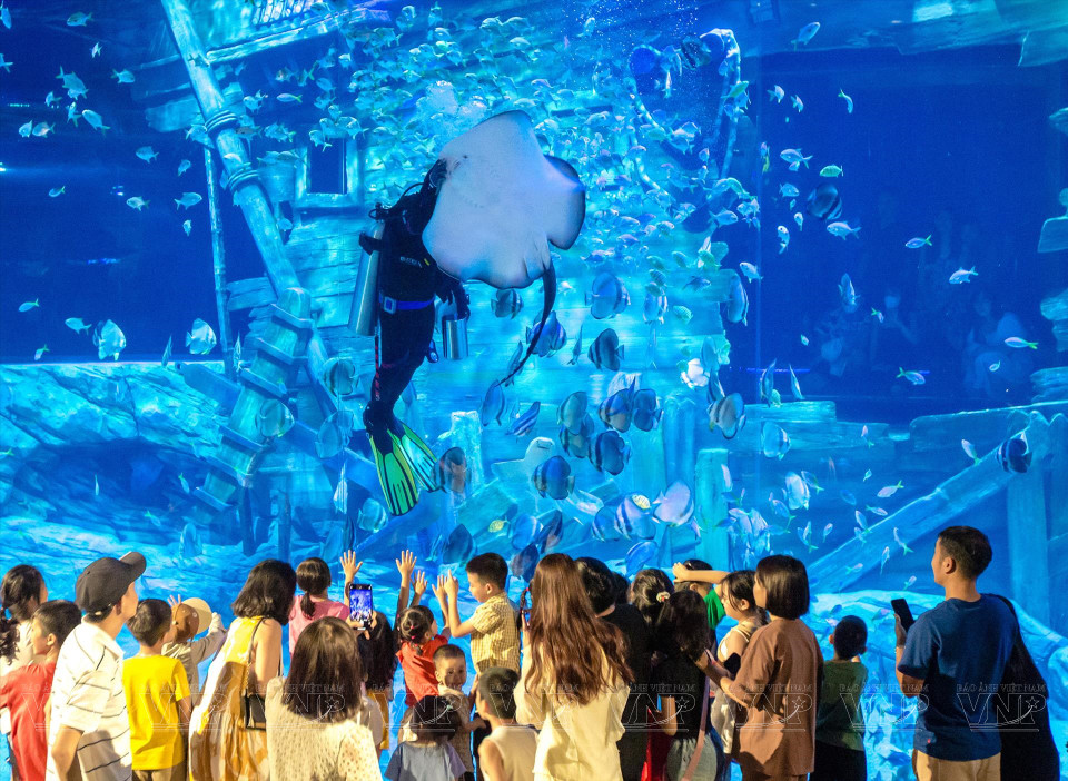 Muchas familias eligen el acuario como lugar para divertirse los fines de semana. (Fuente:VNA)