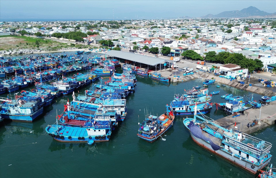 La comuna de Thanh Hai, distrito de Ninh Hai, invierte de forma sincrónica en el puerto pesquero de My Tan, para cumplir con los requisitos de desarrollo económico marino local. (Fuente:VNA)