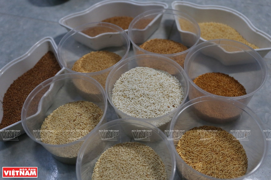 El arroz se tuesta y se procesa en diferentes colores para crear tonos brillantes y oscuros para la imagen. (Foto: Revista Vietnam)