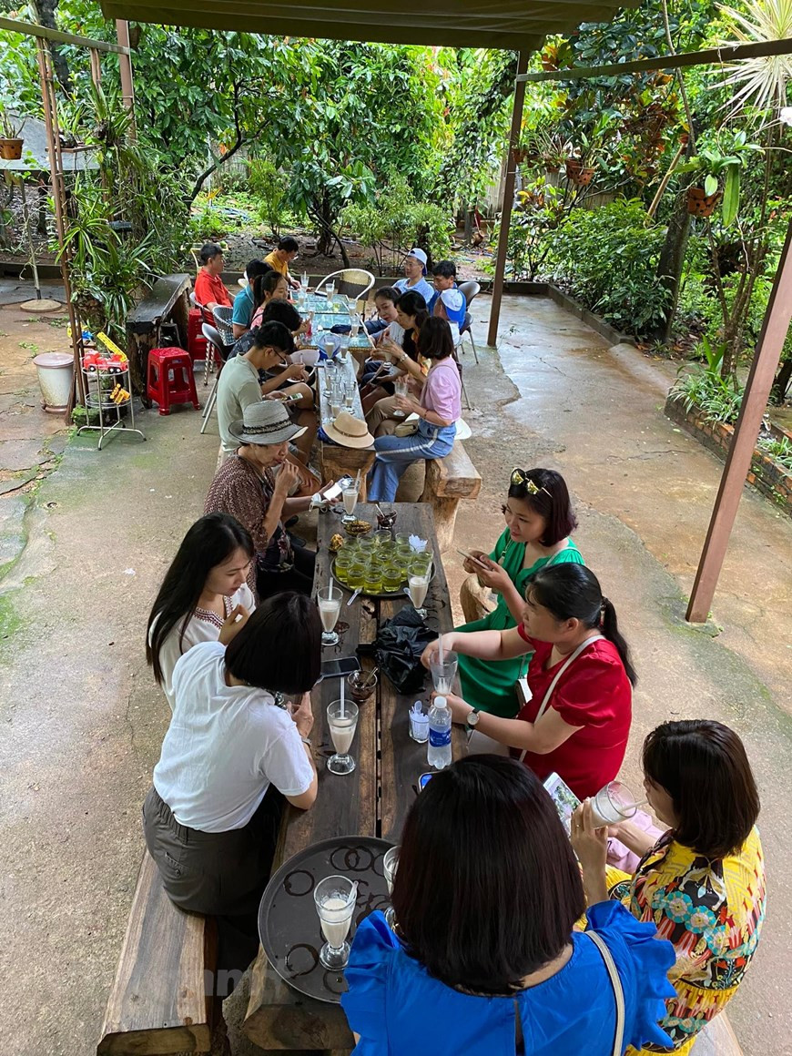 Un periodo de entre cuatro y cinco meses requiere la planta de cacao para alcanzar su completo desarrollo y aproximadamente un mes para madurar los frutos. Estos árboles se cultivan ampliamente en las provincias altiplanas y sureñas. Las coloridas frutas producen cacao en polvo y chocolate. La pulpa se pela con el fin de utilizarla en batidos. Para elaborar uno, usa la pulpa de tres granos de cacao. La bebida resultante adquiere un color blanco y un sabor agridulce bastante similar al batido de guanábana. Después de tomar la carne para batirla, los granos de cacao se vierten en una rejilla de secado y se dejan fermentar naturalmente durante 3-7 días. Luego del secado, los granos comienzan a volverse negros oscuros y desprenden un sabor a chocolate. (Foto: Minh Thu/Vietnam+)