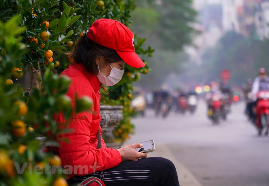 Según el Centro Nacional de Pronósticos Hidrometeorológicos, durante las vacaciones por el Año Nuevo Lunar en 2022, el clima principal en el norte es muy frío por la noche y temprano en la mañana con la temperatura común que oscila entre 16 y 19 grados centígrados. La temperatura más alta es de 20 a 23 grados centígrados. Nguyen Van Hung, de la junta directiva del Mercado de Flores de Primavera en la calle de Tran Nhan Tong (del distrito de Hai Ba Trung) dijo que hasta ahora, solo tres hogares se han registrado para vender flores y plantas ornamentales para el Tet (Año Nuevo Luar). (Foto: Minh Hieu/Vietnam+)