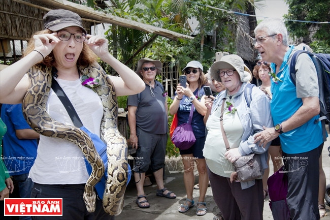 Jugar con una pitón, una experiencia aterradora pero emocionante en un tour del delta del Mekong: Foto: Dang Kim Phuong
