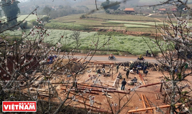 Una vez florecidos los melocotoneros y ciruelos, llega la temporada de edificar casas de los Thai en Moc Chau (Fuente: VNA)