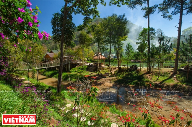 Plantas silvestres que florecen todo el calendario es una atracción de este lugar. 
