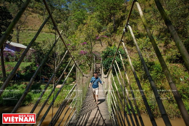 Tras atravesar este puente colgante, los turistas llegarán a una colina, donde se encuentra una huerta de mandarinos. Los visitantes pueden cosechar los frutos libremente. 