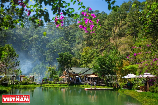 El dueño del hostal es Nguyen Thanh Liem, un aficionado del turismo que dedicó su juventud a la exploración de los bosques aquí. Sus abundantes conocimientos hicieron que sus amigos le llamen “el fantasma del bosque”. 