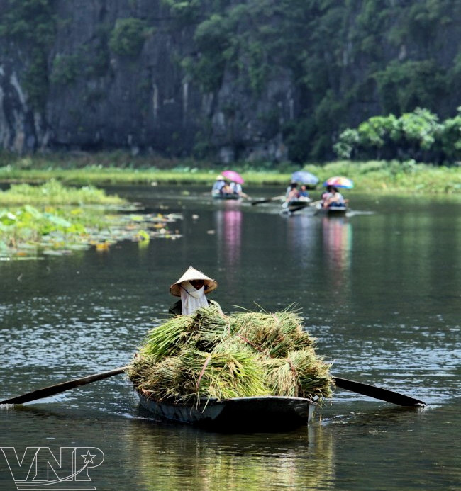 Los barcos cargados de arroz contribuyen a la belleza del escenario. Foto: VNA