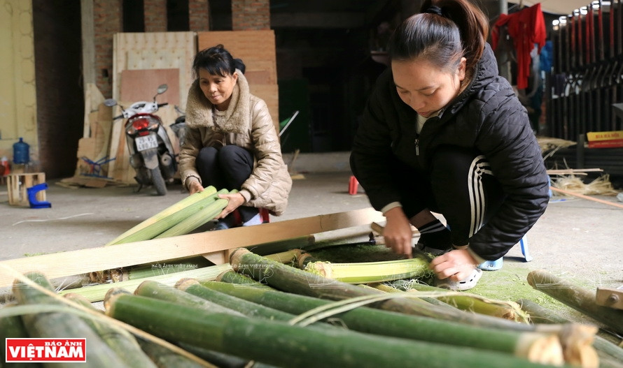Las cañas de bambú de la provincia norteña de Dien Bien son materia prima para fabricar el abanico hecho a mano con hojas en los distritos de Binh Phu y Thach Xa. (Fuente: VNA)