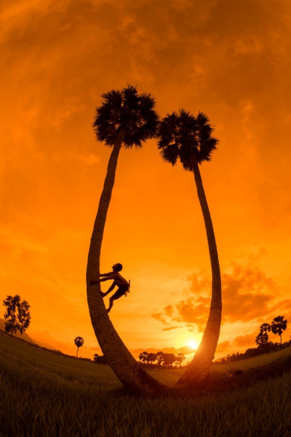 Con Kien Leo Cay (una hormiga trepando al árbol) de Nguyen Ngoc Hoa (Fuente: Junta Organizadora)