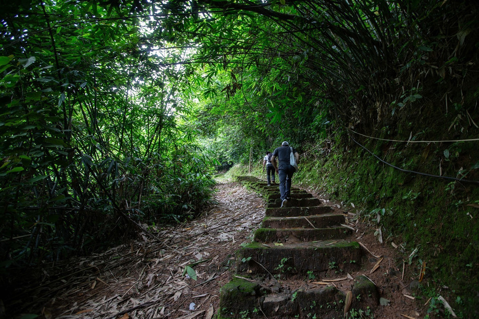 El camino a la cueva Tien Phi. (Foto: VNA)