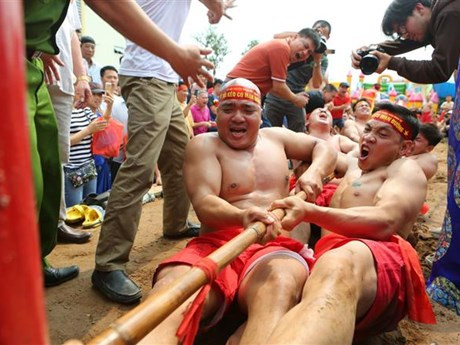 La cuerda, de 25 a 30 metros largo y con un diámetro de cinco centímetros, se enhebra a través de un palo de madera, teñido de rojo y enterrado en el suelo. Lo más peculiar del juego tradicional del templo Tran Vu es que los competidores deben sentarse sobre el terreno y utilizan el talón como punto de apoyo. (Fuente: VNA)