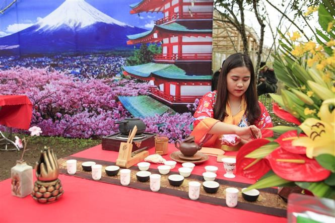 Se presentan los platos especiales de la región noroccidental de Vietnam y la cultura del té de Japón (Fuente: VNA)