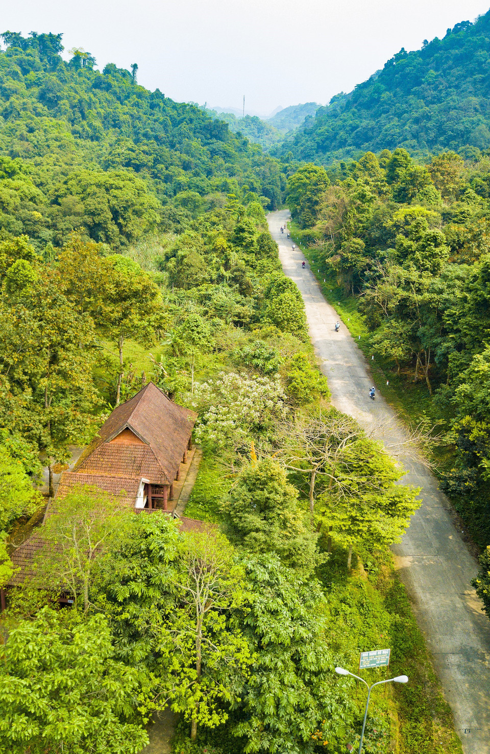 Muchas plantas y animales en riesgos de extinción son descubiertos y preservados en el Cuc Phuong, primer parque nacional en Vietnam. (Fuente: VNA)