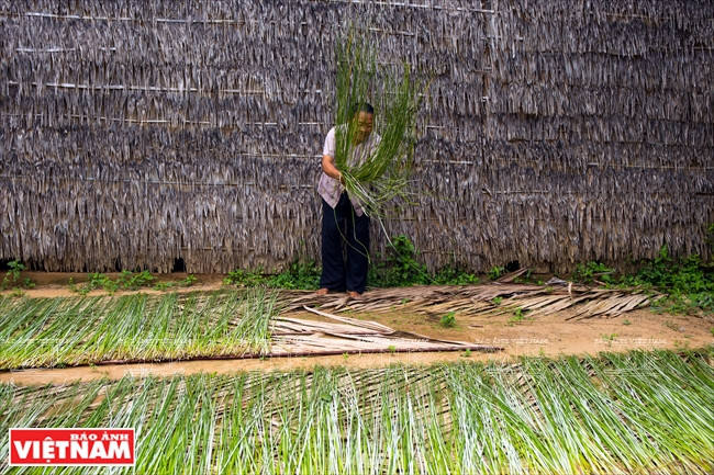 Secado de espartos naturales. Fuente: VNA