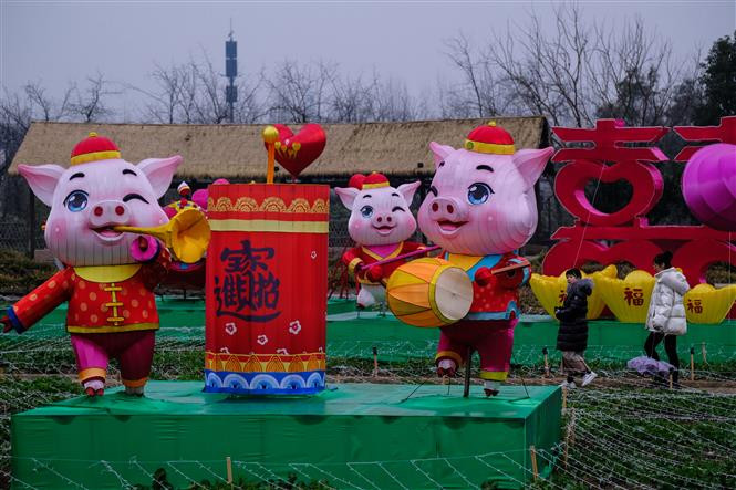 Imágenes de cerdos, símbolos del Año Lunar 2019, en Macao, China. (Fuente: Xinhua/VNA)