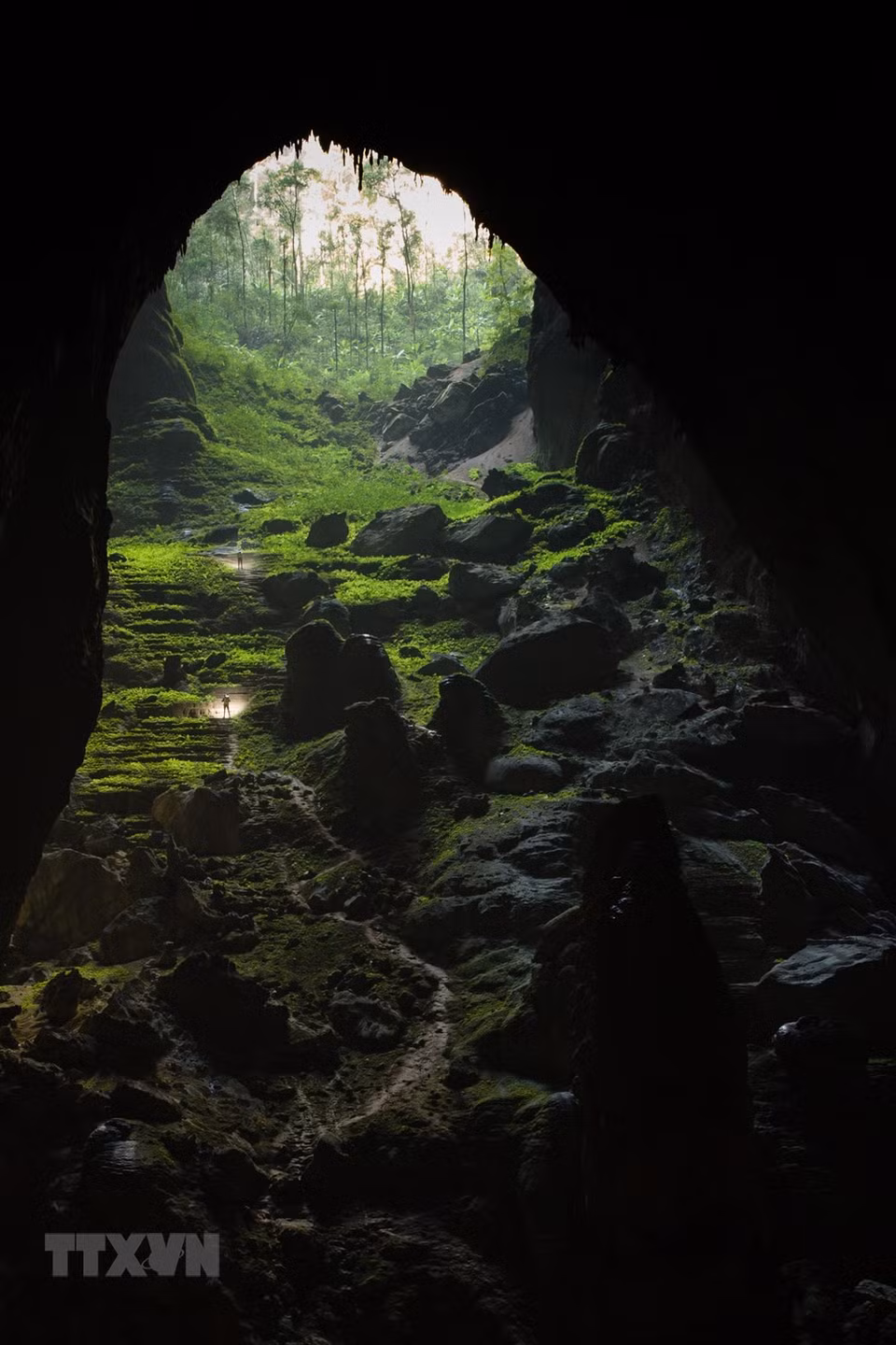 La increíble profundidad de Son Doong atrae a los viajeros que desean una verdadera aventura. 