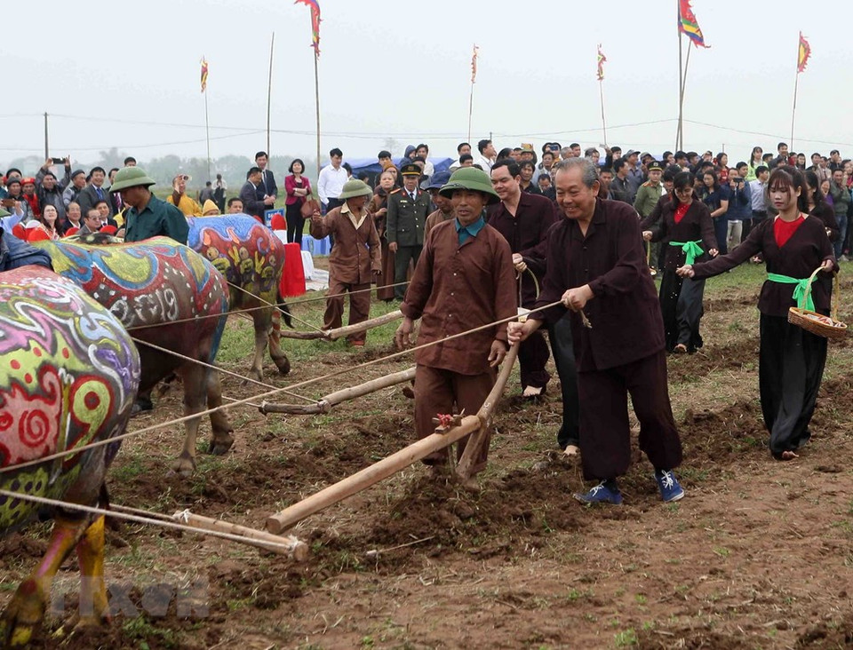 El viceprimer ministro vietnamita Truong Hoa Binh inaugura el Festival Tich Dien, que marca el inicio de la siembra de arroz en los primeros días del Nuevo Año Lunar. (Fuente: VNA)