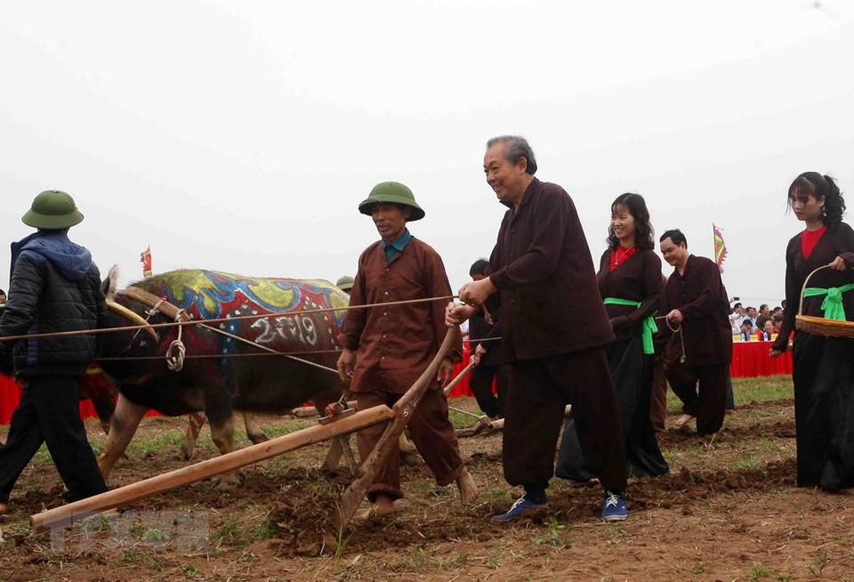 La festividad data de la dinastía Le (987- 1017), cuando en el año 987 el emperador Le Dai Hanh fue a Doi Son para trabajar con los campesinos y desear la buena cosecha. (Fuente: VNA)