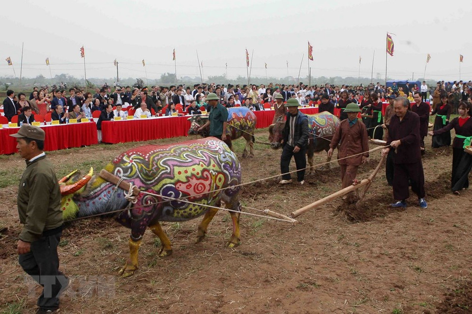 El viceprimer ministro vietnamita Truong Hoa Binh inaugura el Festival Tich Dien, que marca el inicio de la siembra de arroz en los primeros días del Nuevo Año Lunar. (Fuente: VNA)