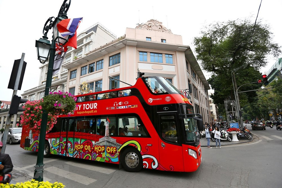 Autobuses para turistas en Hanoi. (Foto: VNA)