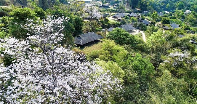 El Festival contribuye a la promoción del turismo en Dien Bien. (Foto: VNA)