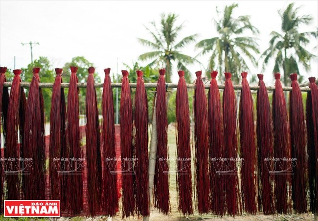Materiales para la confección de esteras. Fuente: VNA