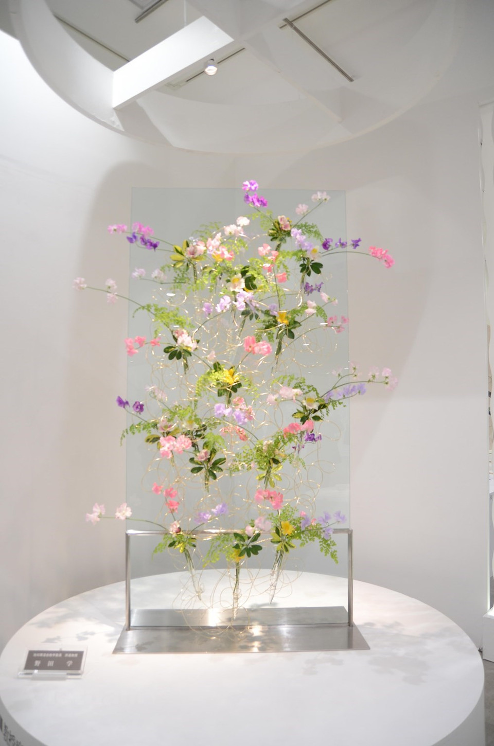 Se espera que la exposición atraiga a decenas de miles de visitantes. (Foto: VNA)