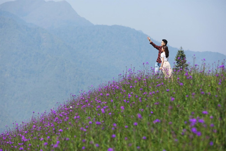 Fansipan es conocido como "el techo de Indochina", siendo reconocido como uno de los muy pocos lugares ecoturísticos de Vietnam, con más de dos mil variedades de flora y unos 300 especies de fauna.