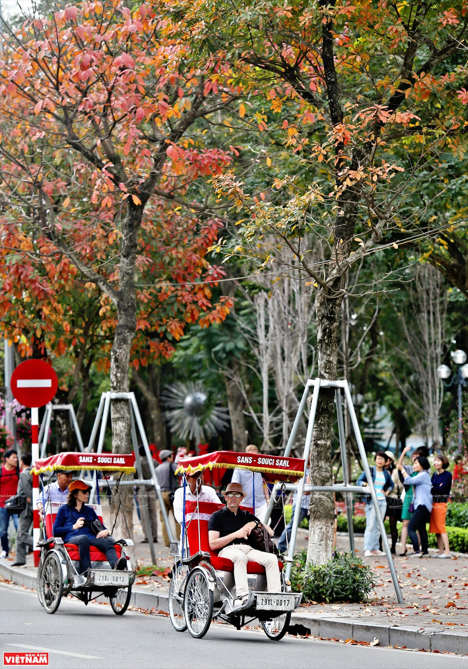 Si Japón y Corea del Sur atraen a turistas por los colores de las hojas de arce rojo y las flores de cerezo, en la primavera, Hanoi seduce a los viajeros por sus colores de hojas de diferentes plantas. (Foto: VNA)