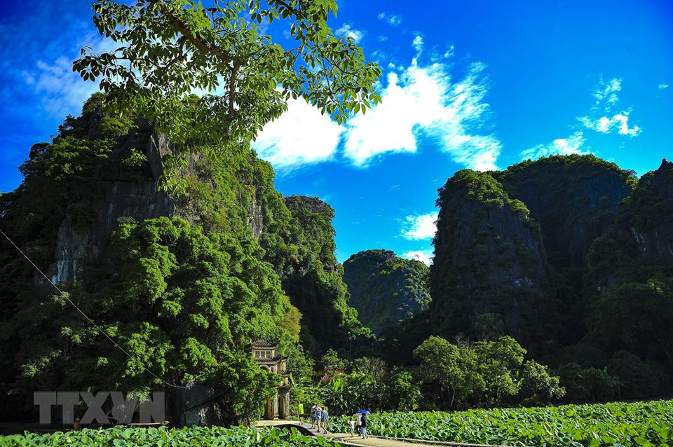 La tranquilidad del antiguo templo está escondida entre el azul profundo de las montañas de piedra caliza de miles de años y a su pie, se encuentra el estanque de lotos. (Foto: VNA)