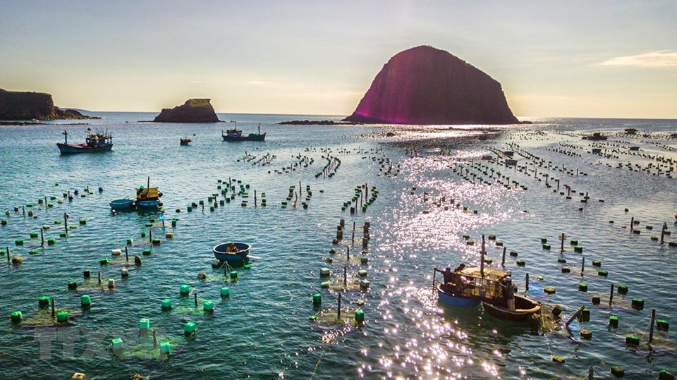 Vista del cultivo de langostas en Hon Yen desde arriba. (Fuente: VNA)