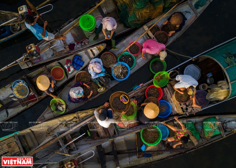 Mercado de pescado en la laguna de Quang Loi, Thua Thien-Hue (Fuente: VNA)